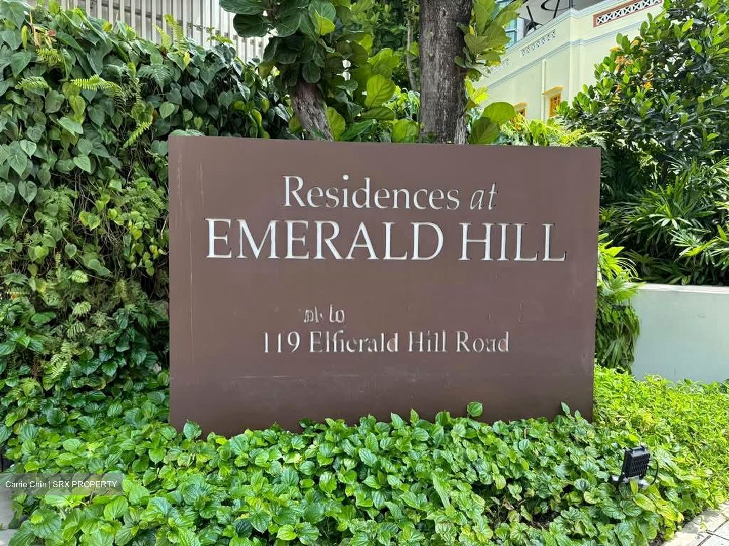 RESIDENCES AT EMERALD HILL (D9), Apartment #578254671